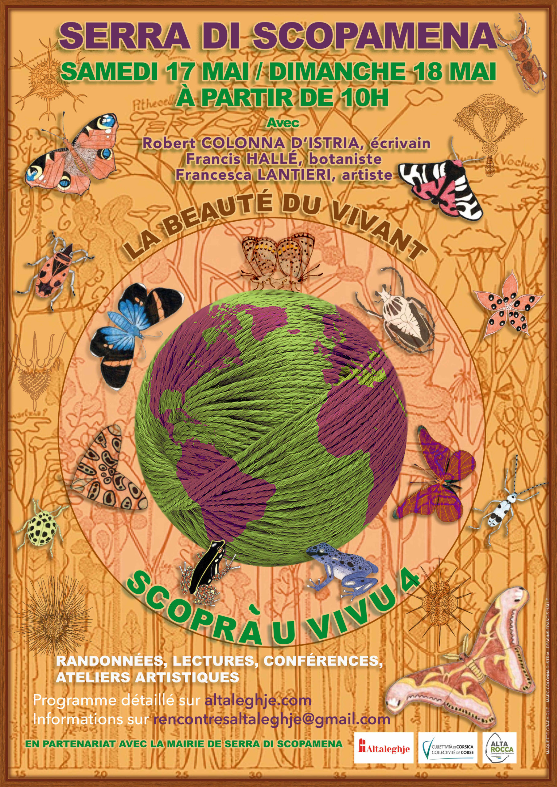 scopra u vivu 4
