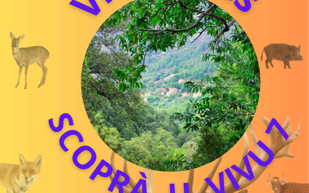 Scopra u Vivu#7