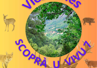 Scopra u Vivu#7