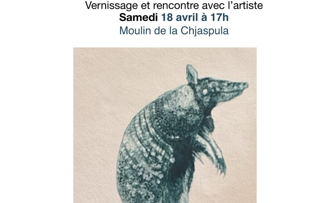 Exposition Ana-Maria Lozano Rivera