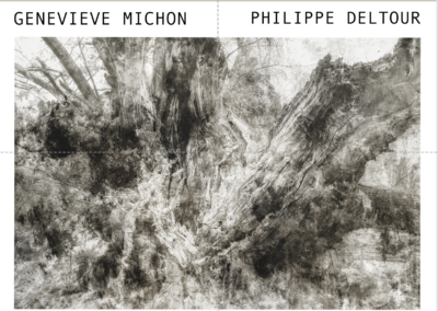 Exposition « Au temps des arbres »